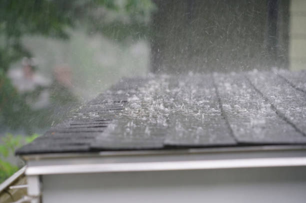 Best Roof Installation  in Travelers Rest, SC